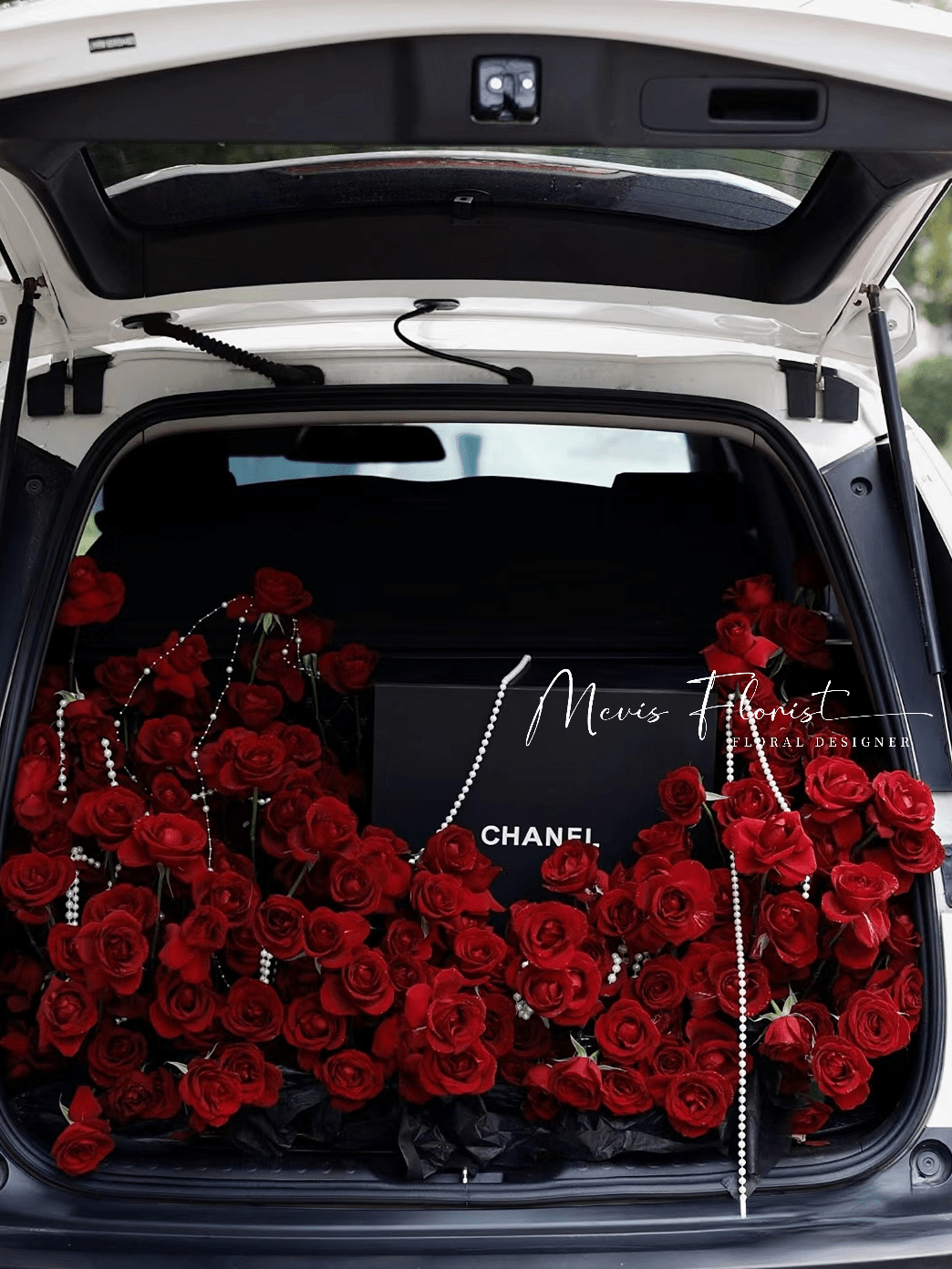 3+ 青春课程自选