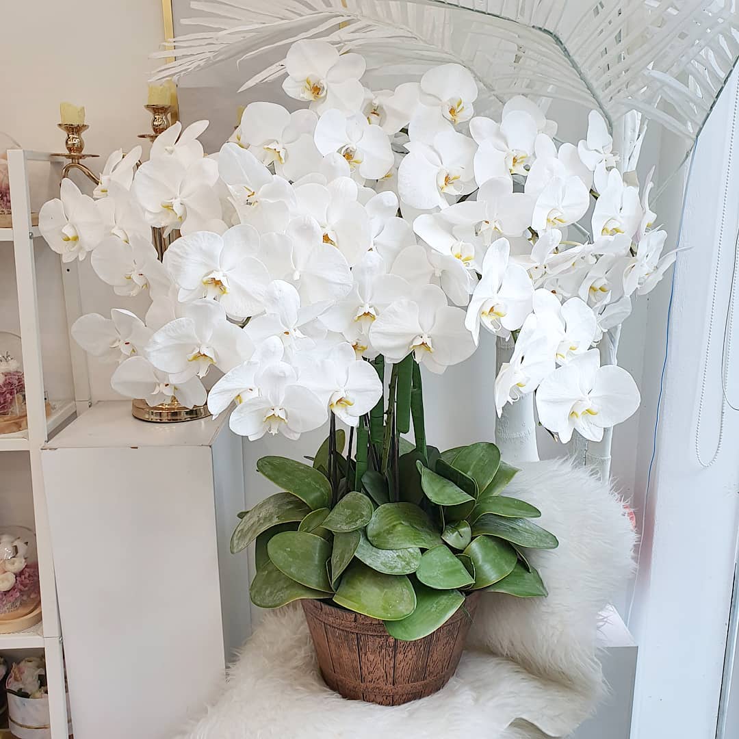Artificial Orchid Penang