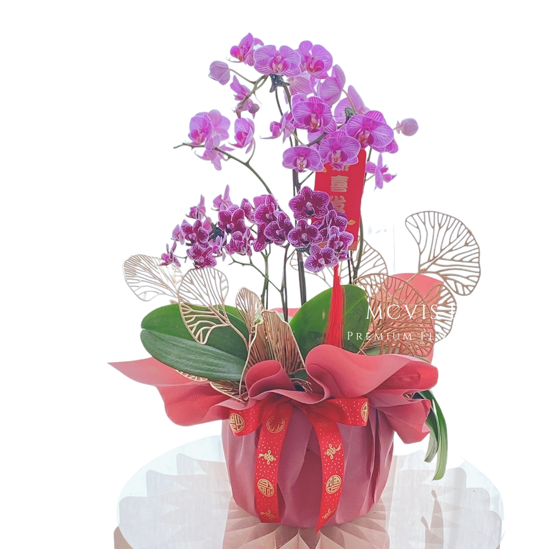 花開富貴 Penang Online Flowers Delivery, Mcvis Florist Best Florist in